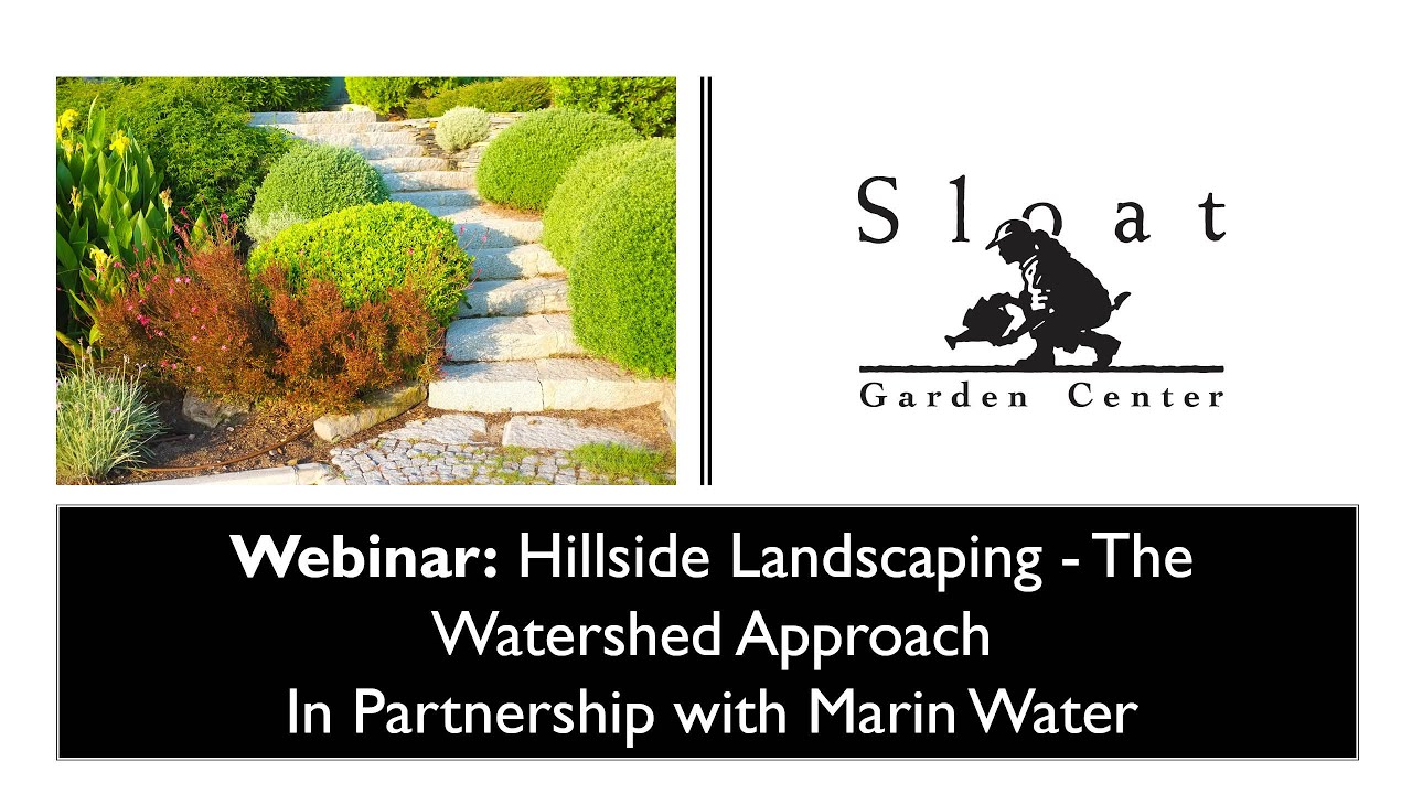 Webinar: Hillside Landscaping: The Watershed Approach-In Partnership with Marin Water