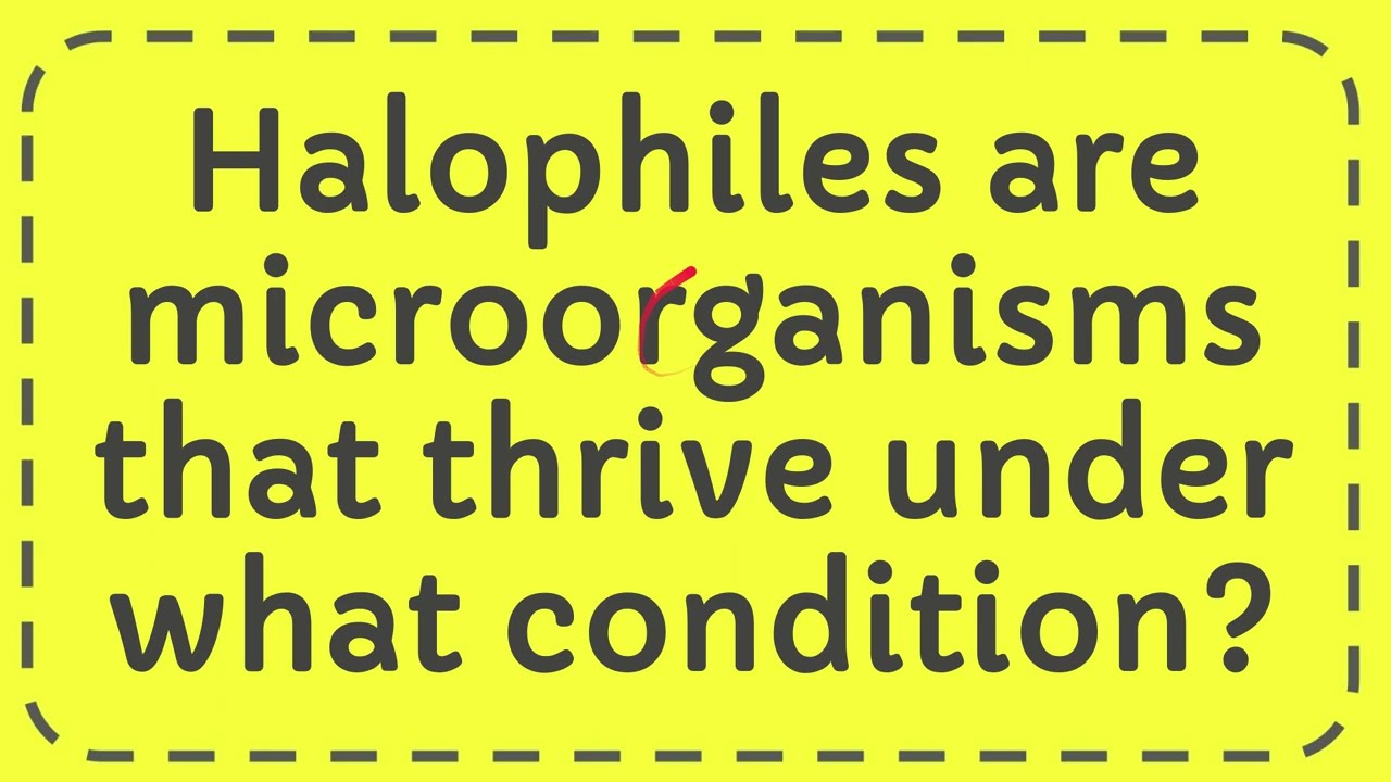 Halophiles are microorganisms that thrive under what condition?