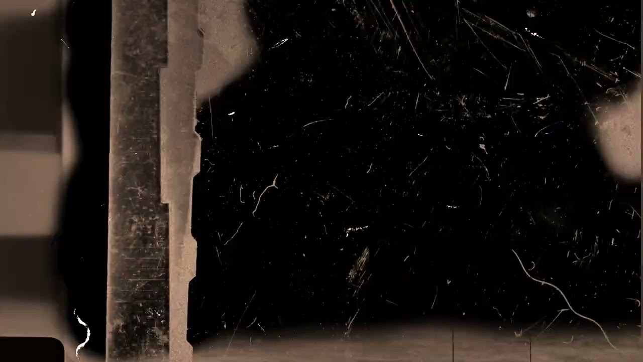 Carrion - In Search of A Piece of Mind