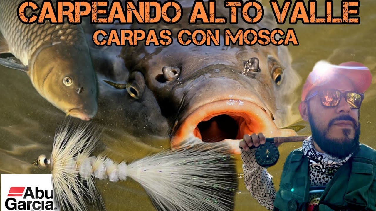 COMO PESCAR CARPAS CON MOSCA - RIO LIMAY - CARPEANDO ALTO VALLE