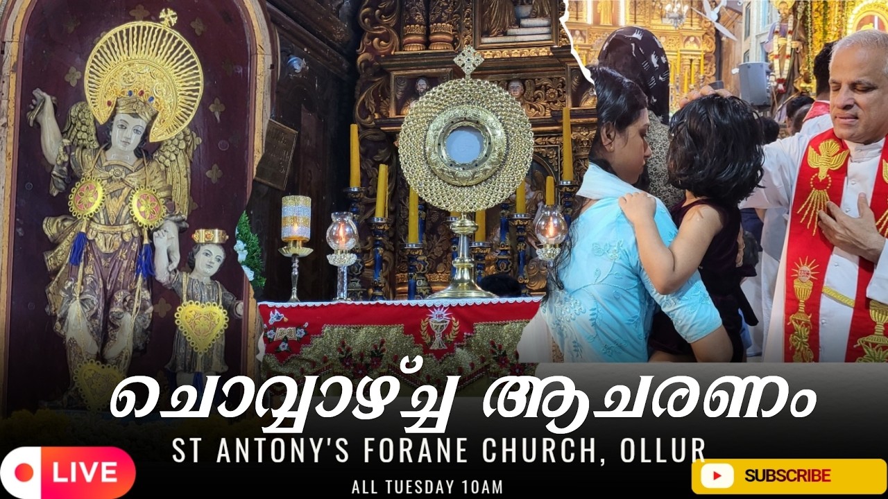 ചൊവ്വാഴ്ച ആചരണം വി കുർബാന FR ANTONY PANACHIPPURAM CST