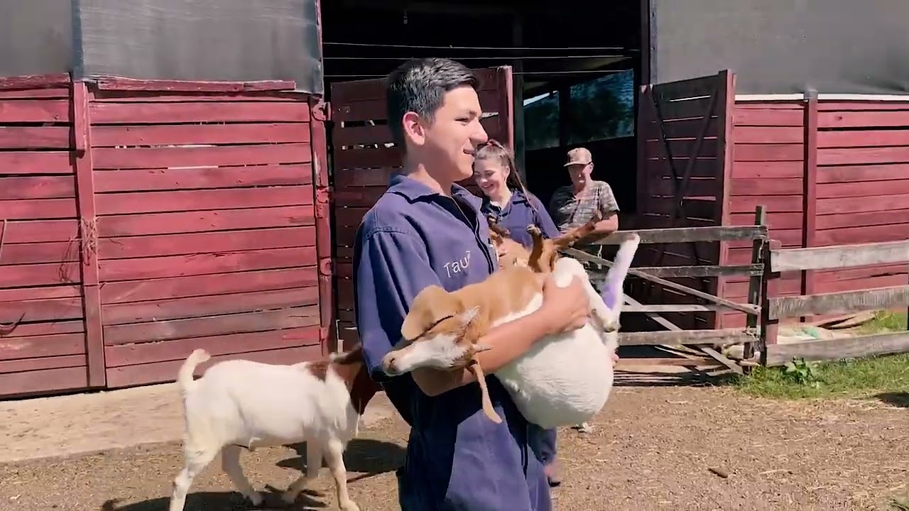 Modernização e o uso de Tecnologias  nos Colégios Agrícolas no Paraná