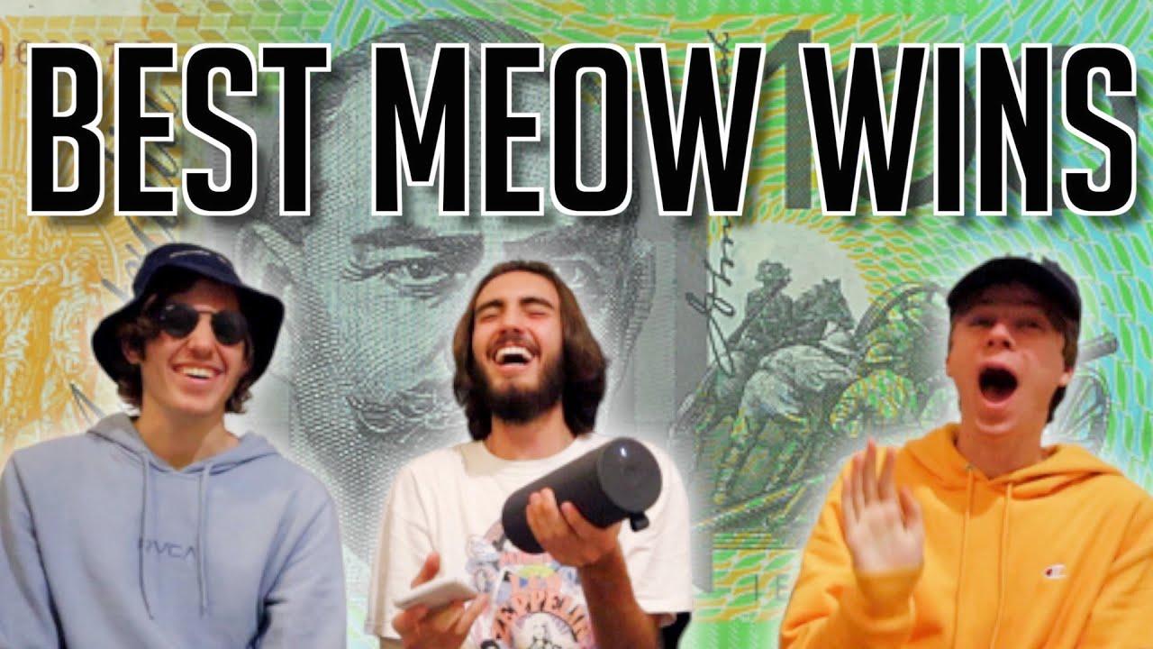 LAUGHING AT HILARIOUS MEOWS | BEST MEOW WINS $100 (PART 2)
