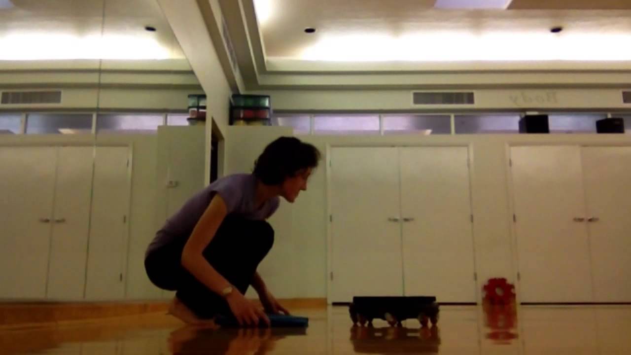 Free FORM CORE GALORE Time Lapse