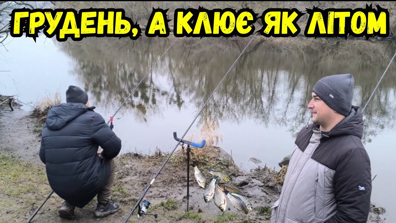 ВДАЛА РИБОЛОВЛЯ В КІНЦІ ГРУДНЯ, МОЖЛИВО ЗАКРИТТЯ ФІДЕРНОГО СЕЗОНУ 