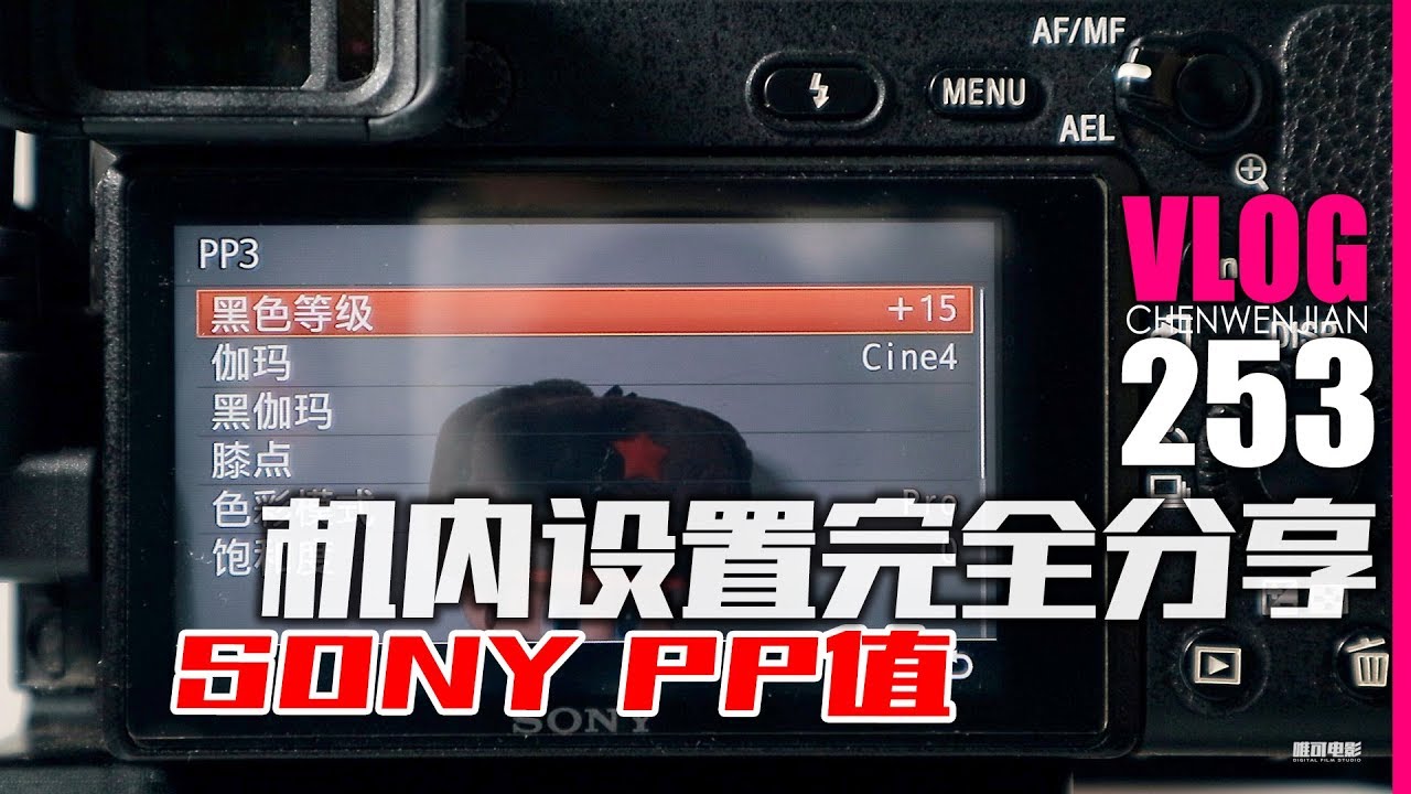 公布索尼SONY机内参数PP值全设定【Vlog-253】