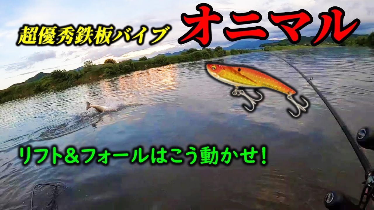 【シーバス/鬼釣れ鉄板バイブ】オニマルはリフト&フォールもバッチリこなします。