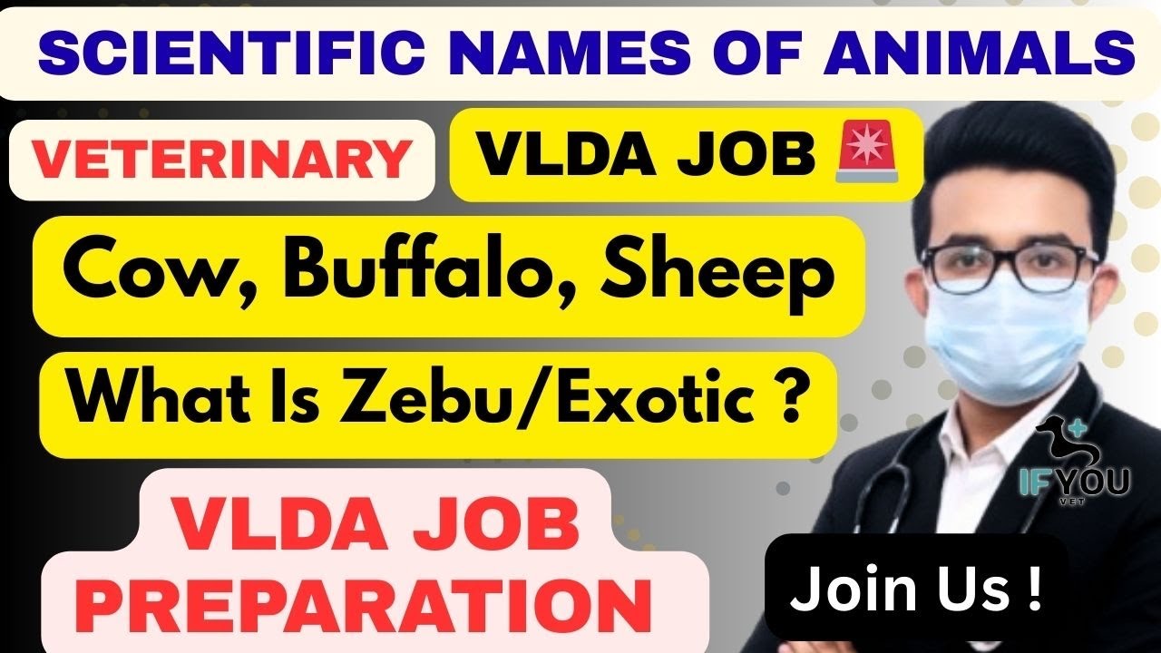 VLDA Job Preparation 🚨|| Scientific Names ( Animals ) ✅ || Scientific Name of Cow, Buffalo, Sheep
