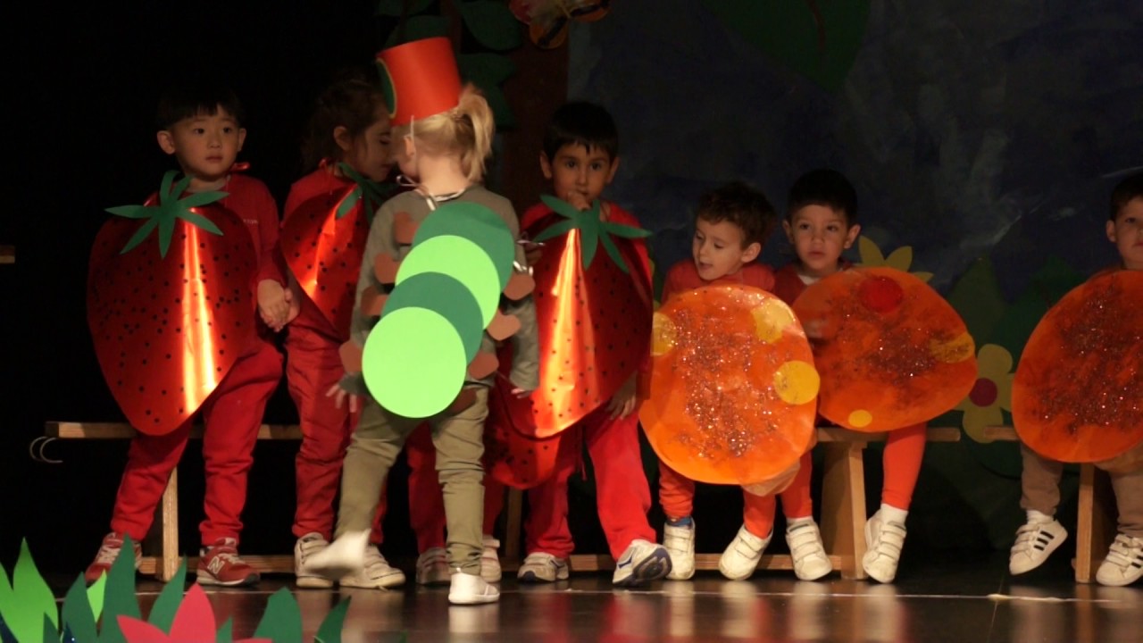 N3 The very hungry caterpillar