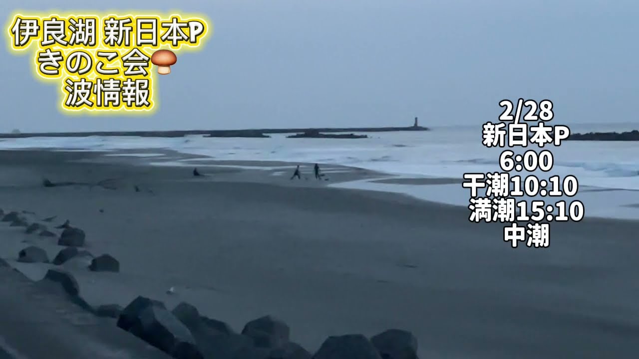 2/28 6:00 新日本P【伊良湖波情報】2026年