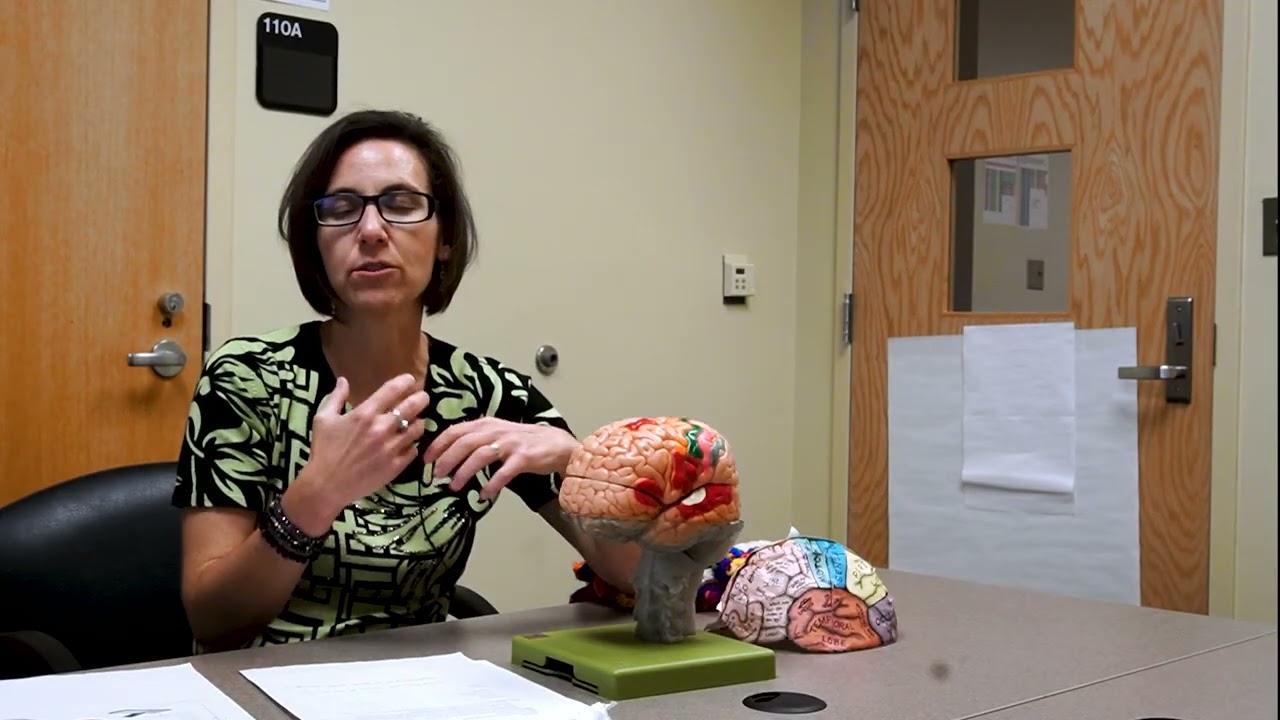 Aphasia Explained