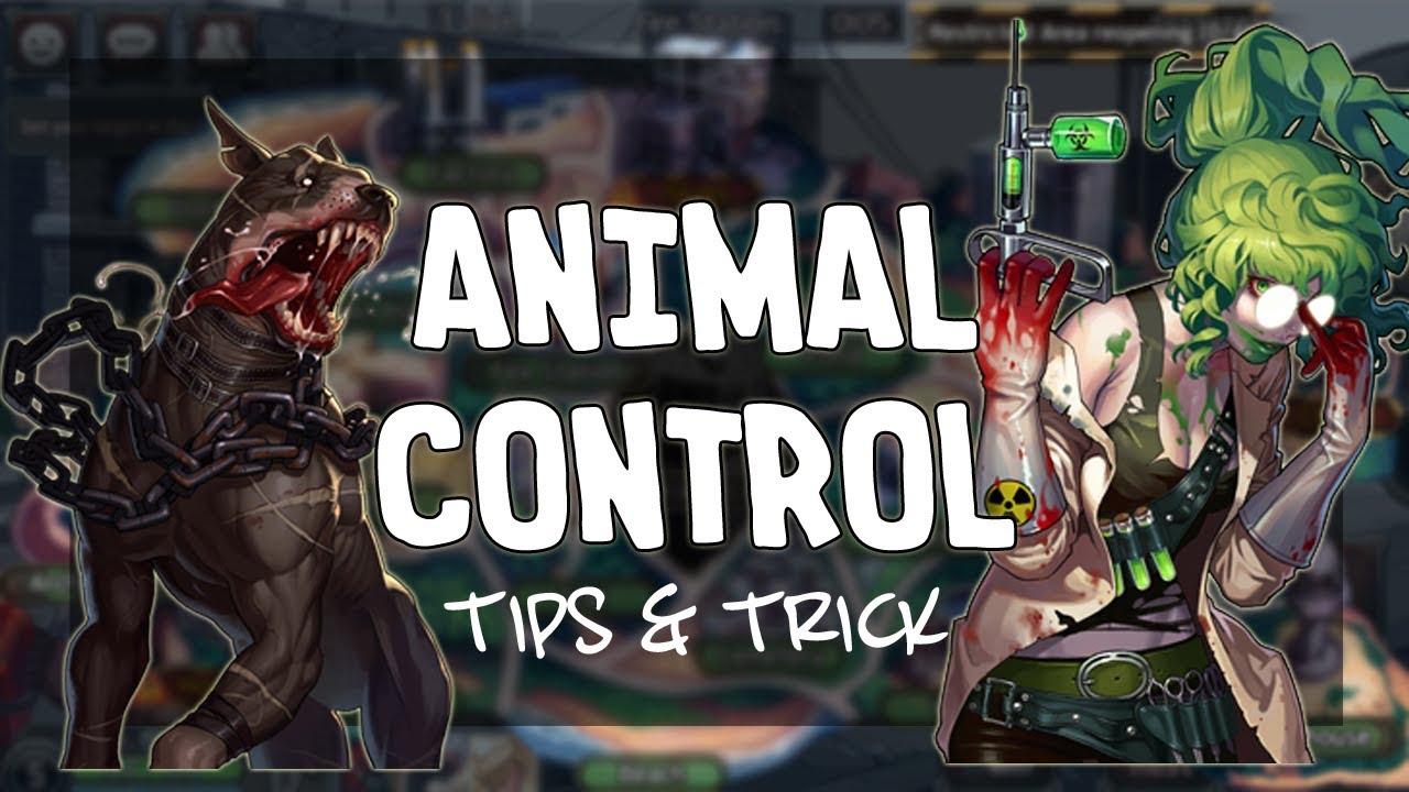 Animal Control Black Survival | Tips & Tricks for Armor/Food/Mastery
