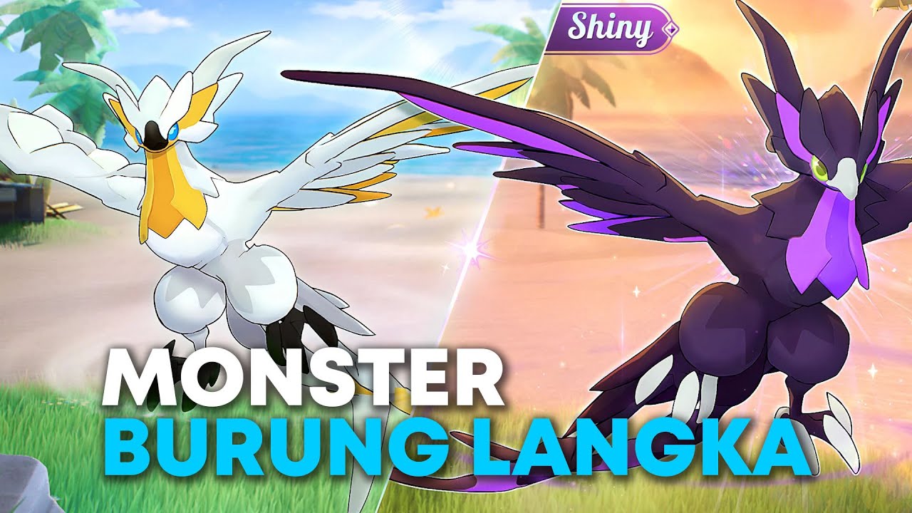 WOW KETEMU KARDMI BURUNG SUPER LANGKA!- Kardmi GAMEPLAY #5