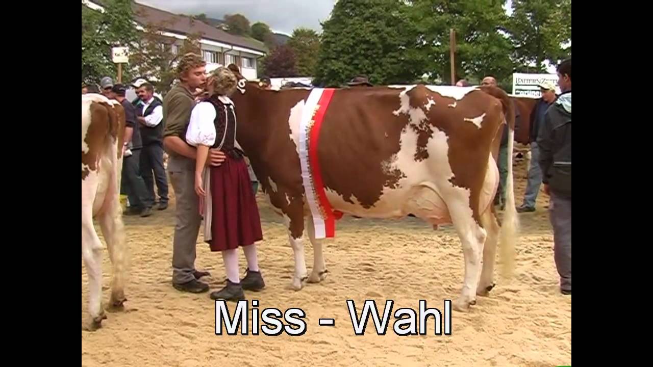 Viehschau Rumisberg 2011
