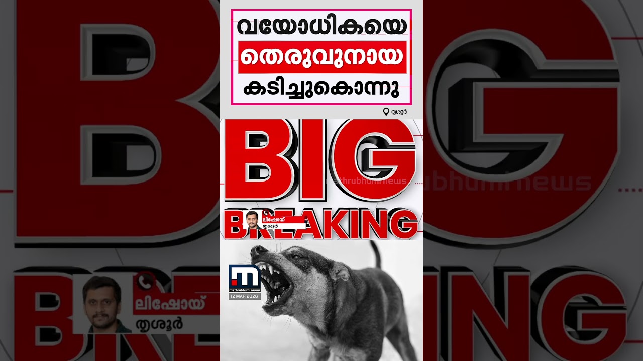 തൃശ്ശൂരിൽ&zwnj; കിടപ്പുരോഗിയായ 84-കാരിയെ തെരുവുനായ കടിച്ചുകൊന്നു | Stray Dog | Thrissur