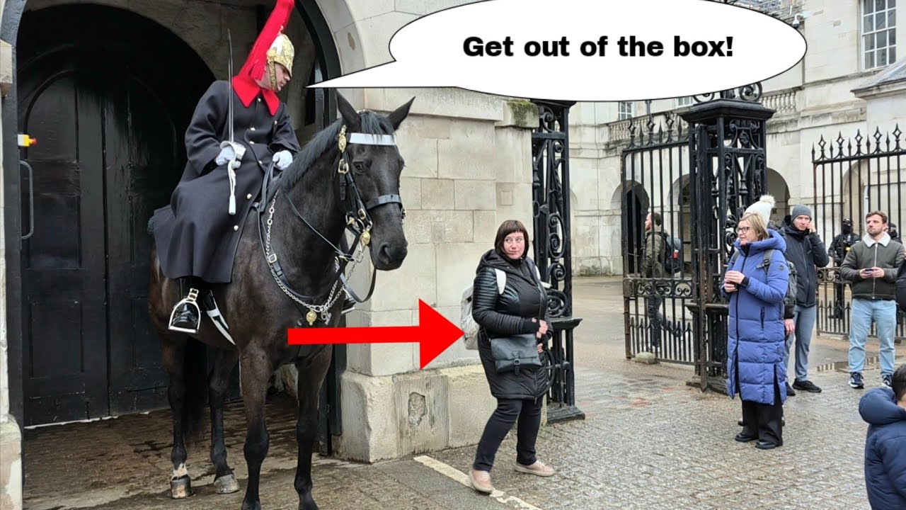 King's Guard tells tourist off when she crossed the boundaries!