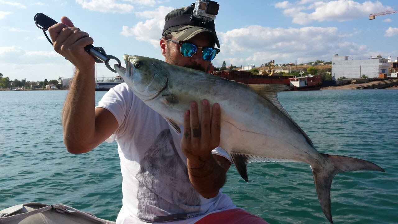 Leccia amia ! summer light spinning !