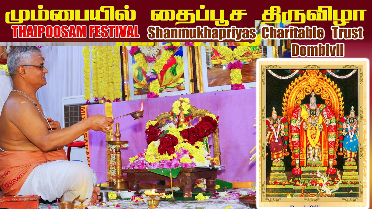 தைப்பூசத் திருவிழா 🙏🦚 ll Thaipoosam Festival ll 2026