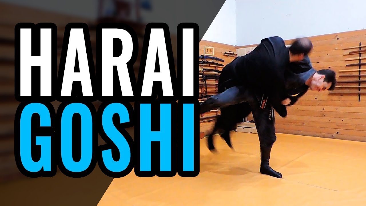 Harai Goshi 払腰 | Bujinkan | Chi Ryaku no Maki