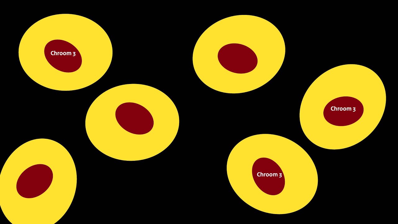 chroom6