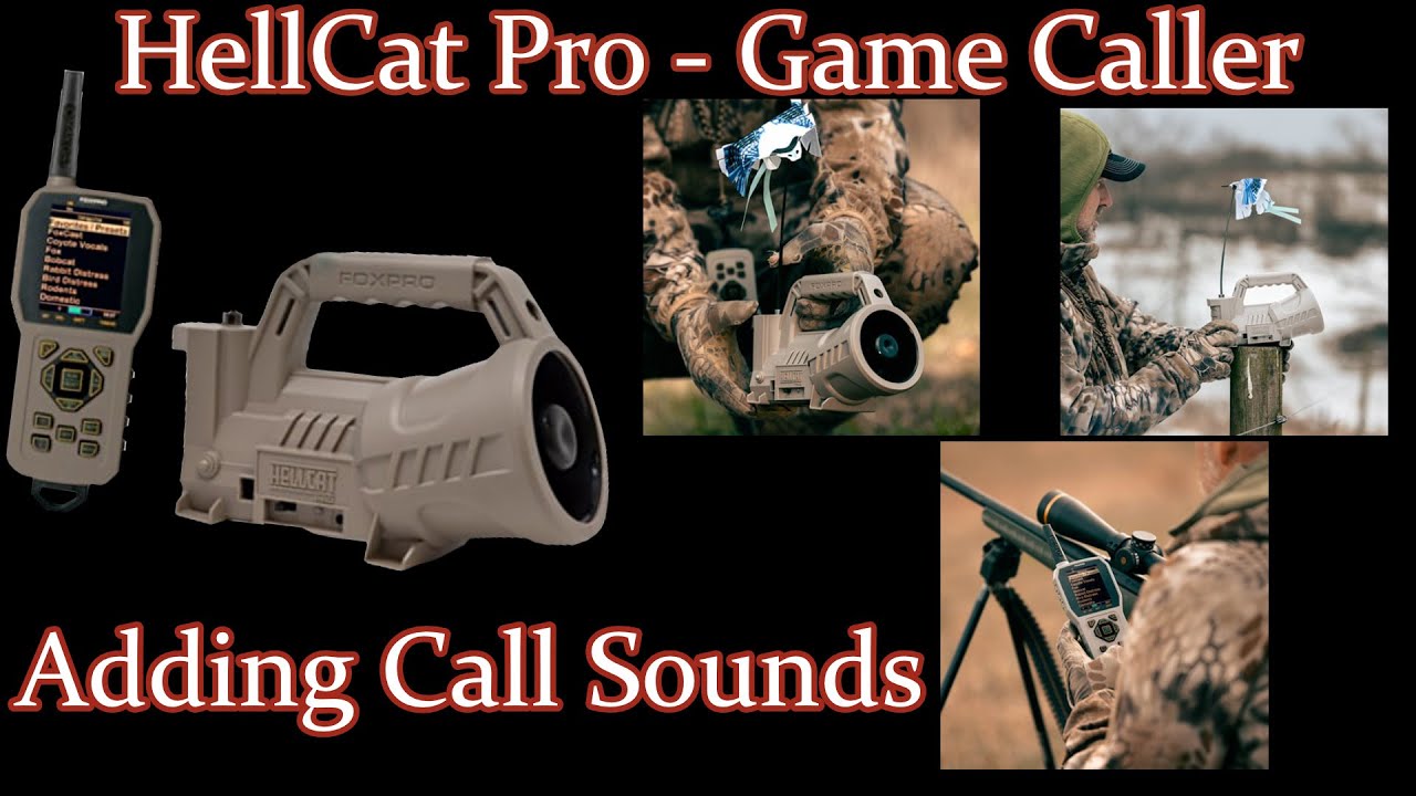 Добавление звуков вызова в FoxPro Hellcat Digital Game Caller