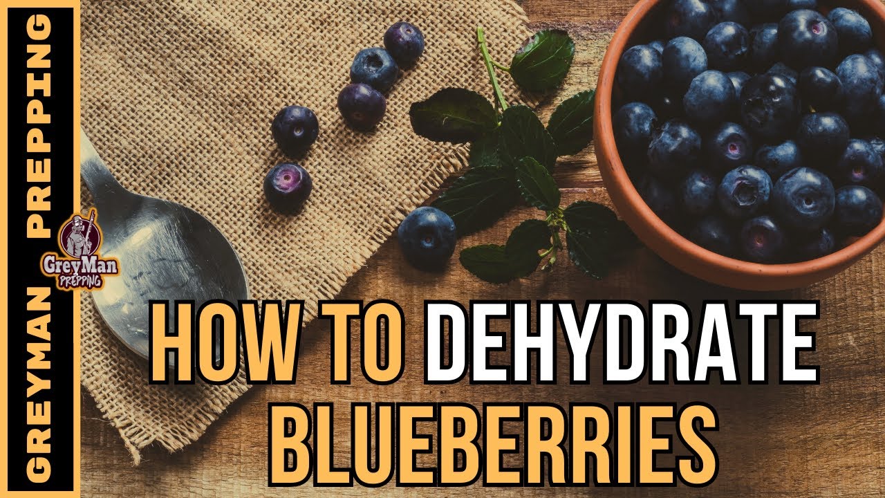 What's The Best Way To Dehydrate Blueberries?
