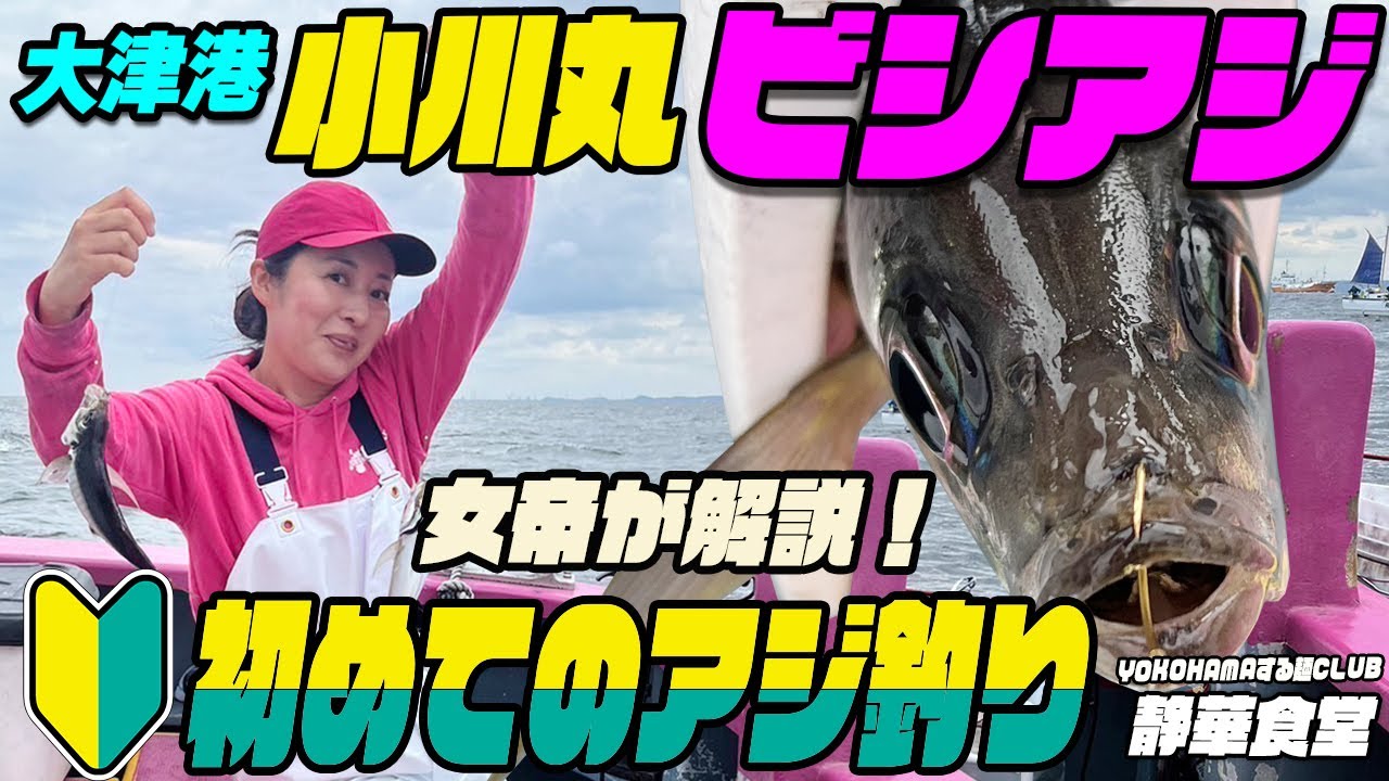 東京湾のビシアジ釣り！女帝が解説！初めてのアジ釣りの方は必見！大津港 小川丸アジ釣り おいしそうなメタボアジがたくさん釣れちゃう！