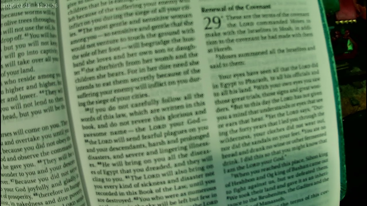 Deuteronomy Chapter 29