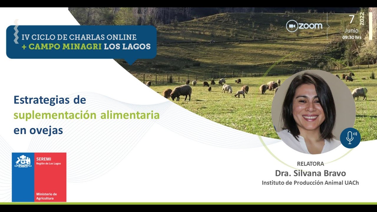 Estrategias de suplementación alimentaria en ovejas