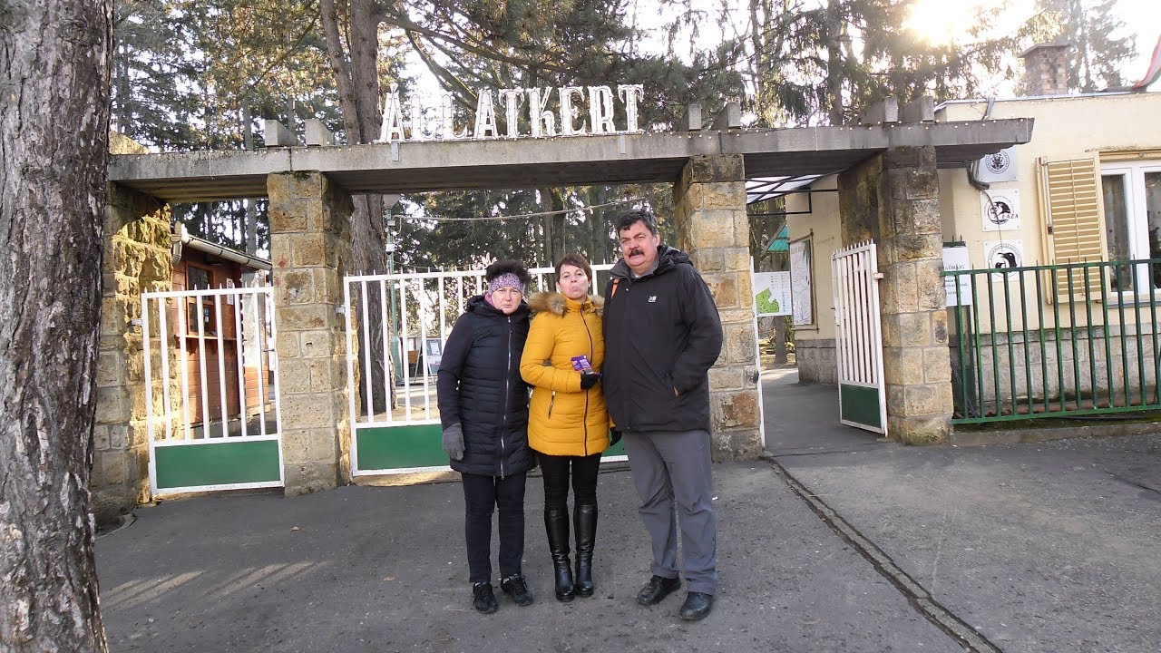 Debreceni  Állatkert  2019 !!!