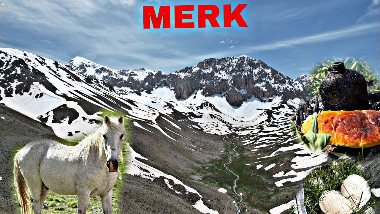 MERK YAYLASI~KALAR~ÇAT VADİSİ ~BELGESEL TADINDA BİR VİDEO~2300 RAKIMDA MANTAR ARADIK