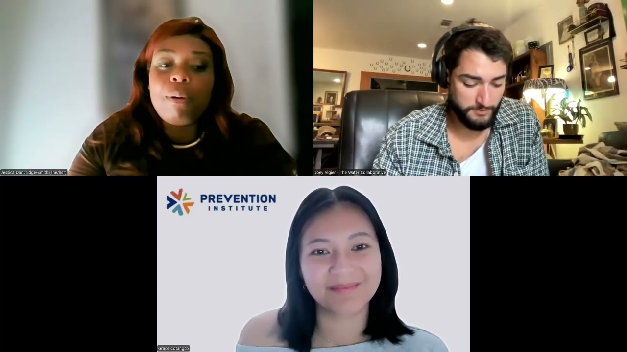 The Water Collaborative of Greater New Orleans: P3 Peer-Led Session
