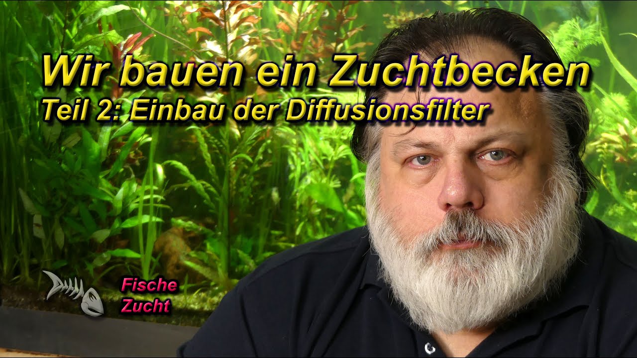 WIR BAUEN EIN AQUARIUM (ZUCHTBECKEN) - TEIL 2 - EINBAU DER DIFFUSIONSFILTER (ASMR)
