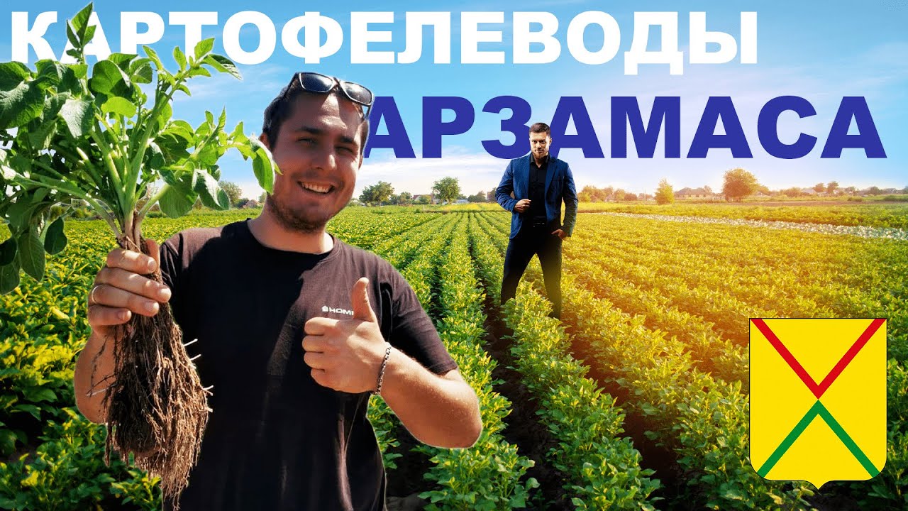 ООО 