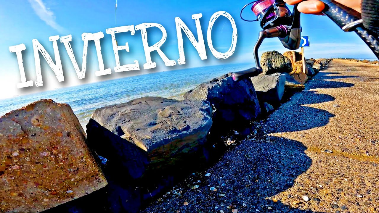 ⚠️  𝗣𝗜𝗖𝗔𝗗𝗔 𝗕𝗥𝗨𝗧𝗔𝗟 Buscando ROBALOS en INVIERNO a SPINNING desde ESPIGÓN