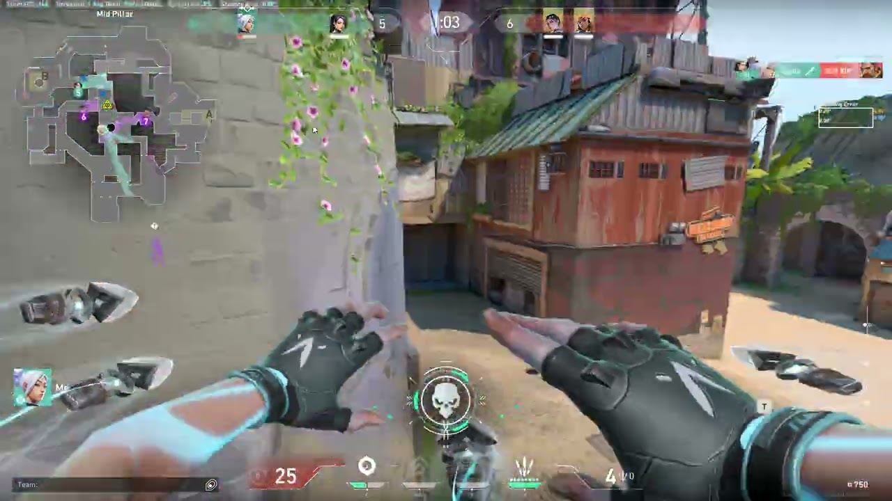 1v6 