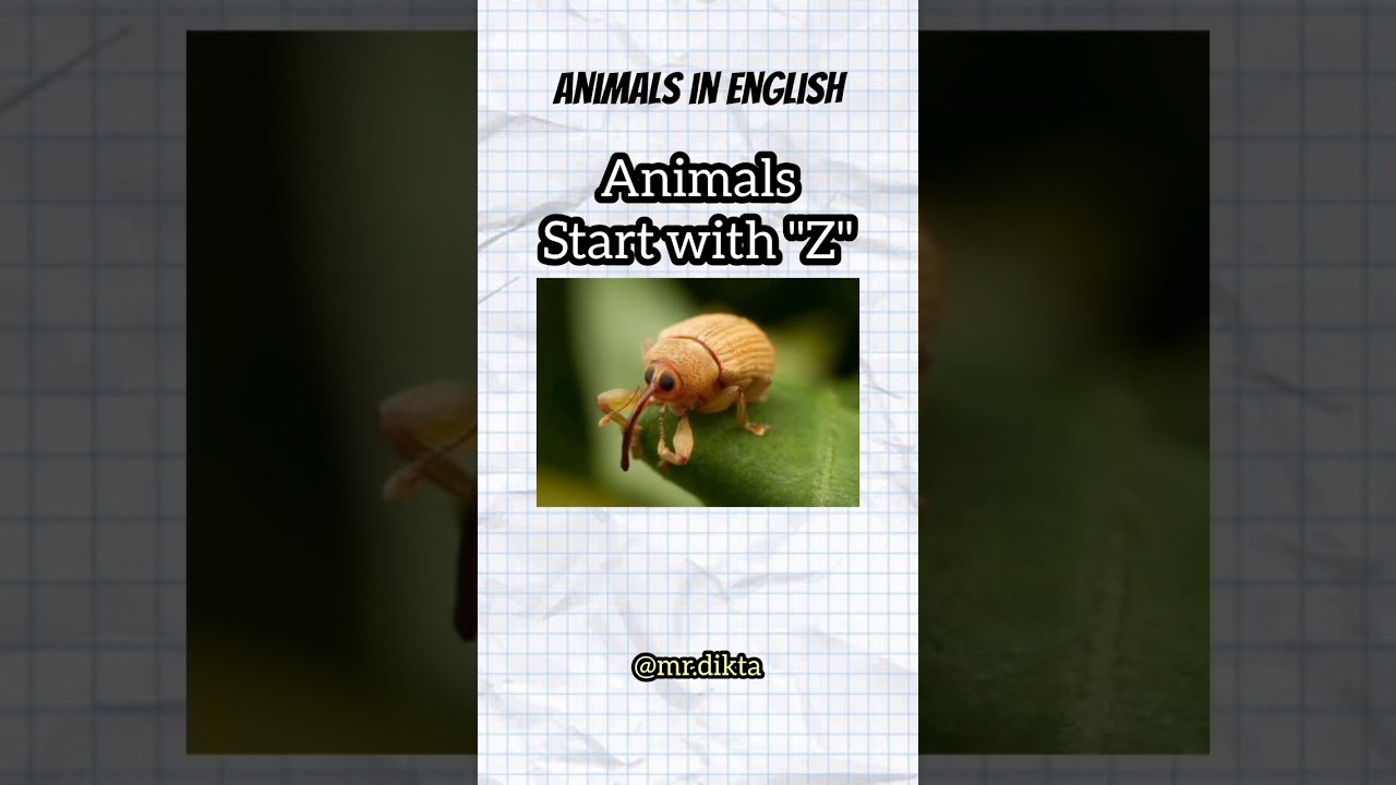 Animals Start With 