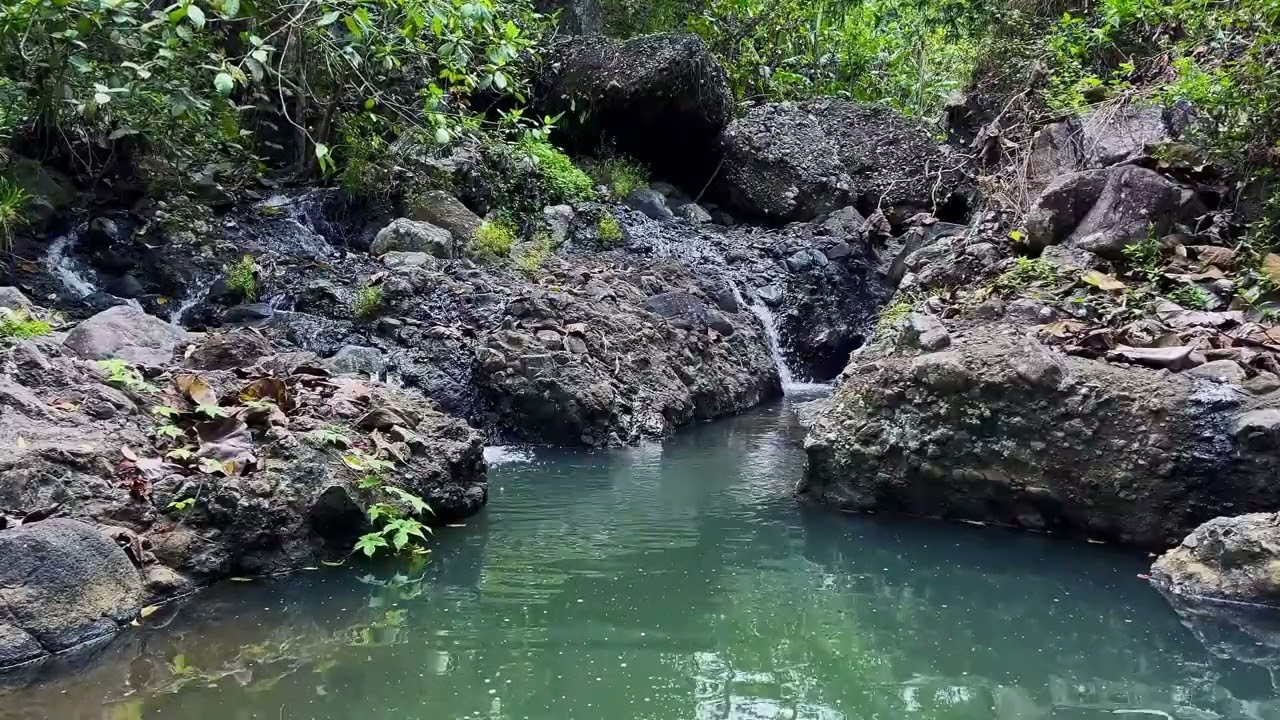 Flowing Peace - Nature's Lullaby for Relax and Sleep | sleep - relax - enjoy life - ASMR