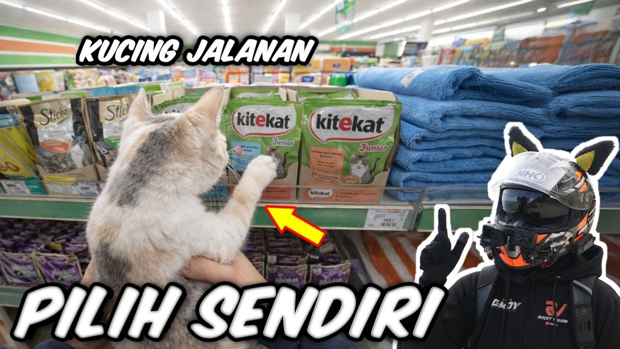 KUCING INI DISURUH PILIH SENDIRI MAKANANNYA