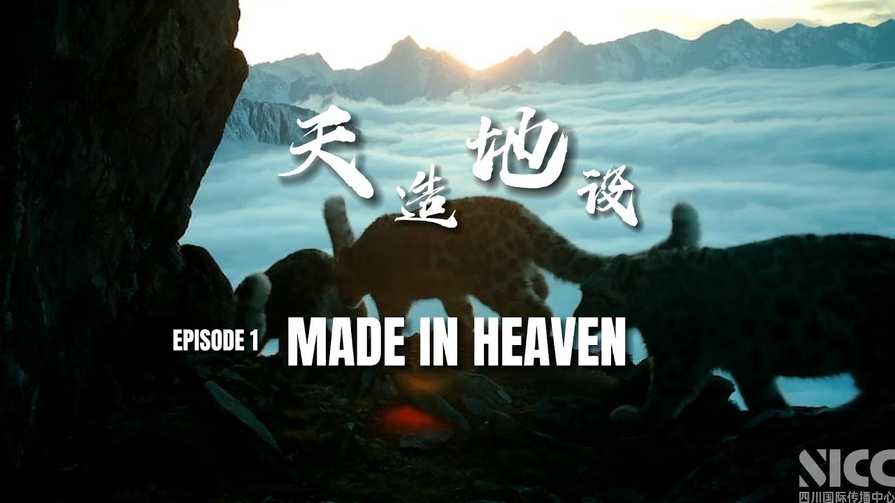 How many ecological secrets are&nbsp;there&nbsp;in Sichuan?四川有多少个生态秘境？