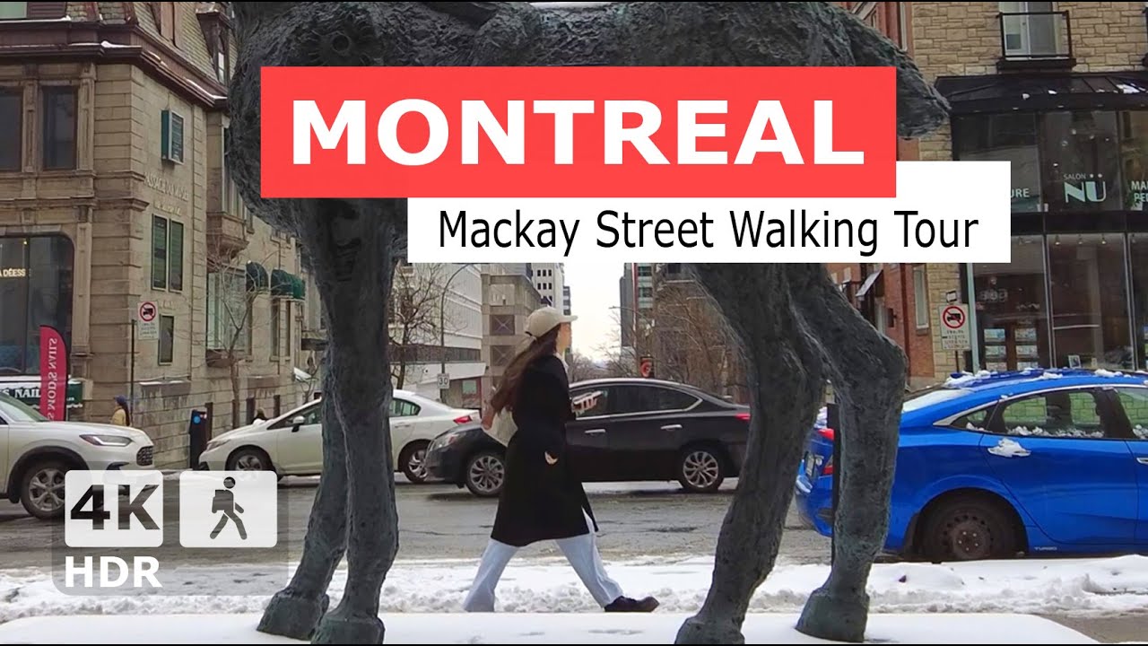 Mackay Street Winter Walking Tour | Explore the Charm