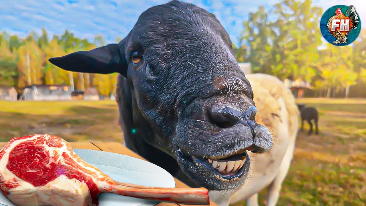 Experience the HARSH REALITIES of Rural Life! 🐑🥩 Preparing Meat for Winter