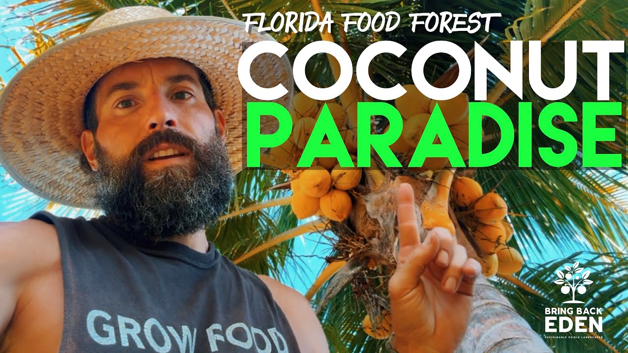 Florida Food Forest Paradise 🌴 What If Every Lawn Looked Like This? 