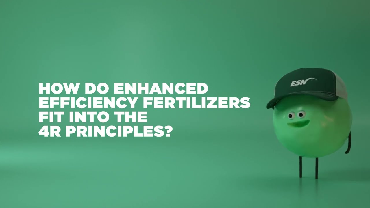 How do enhanced efficiency fertilizers fit into the 4R principles?