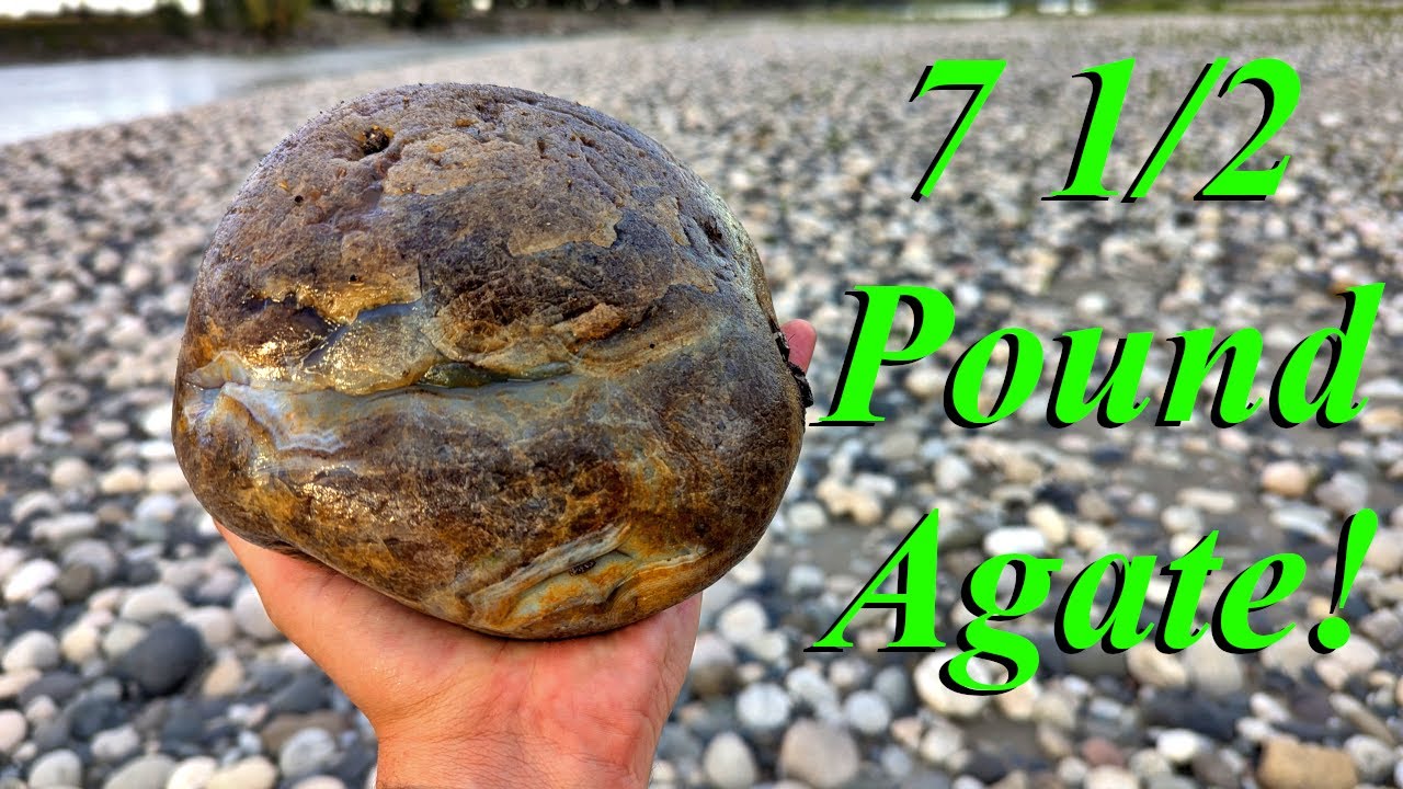 We Found a 7.5 Pound Tyndall Blue Agate! Rockhounding the River for Gorgeous Agates, Jasper, & More!
