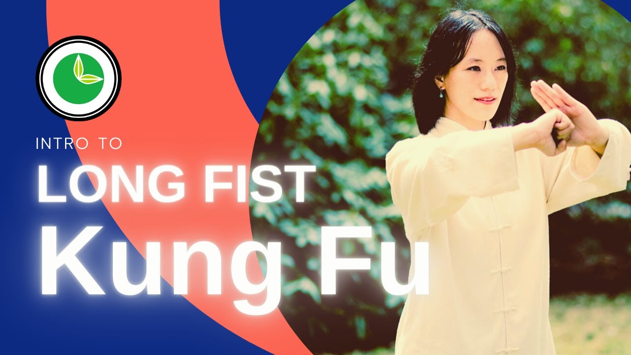 INTRO to Shaolin Long Fist Kung Fu: Lian Bu Quan 