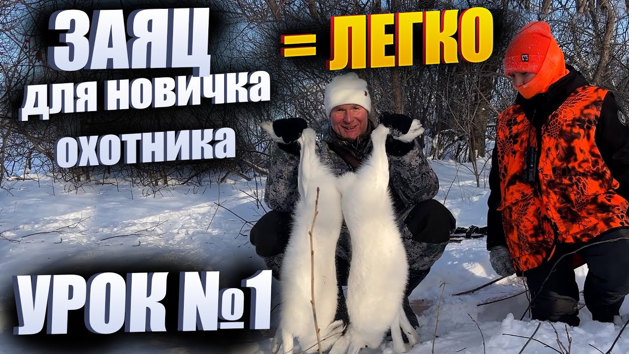 Уроки загонной охоты на ЗАЙЦА беляка № 1