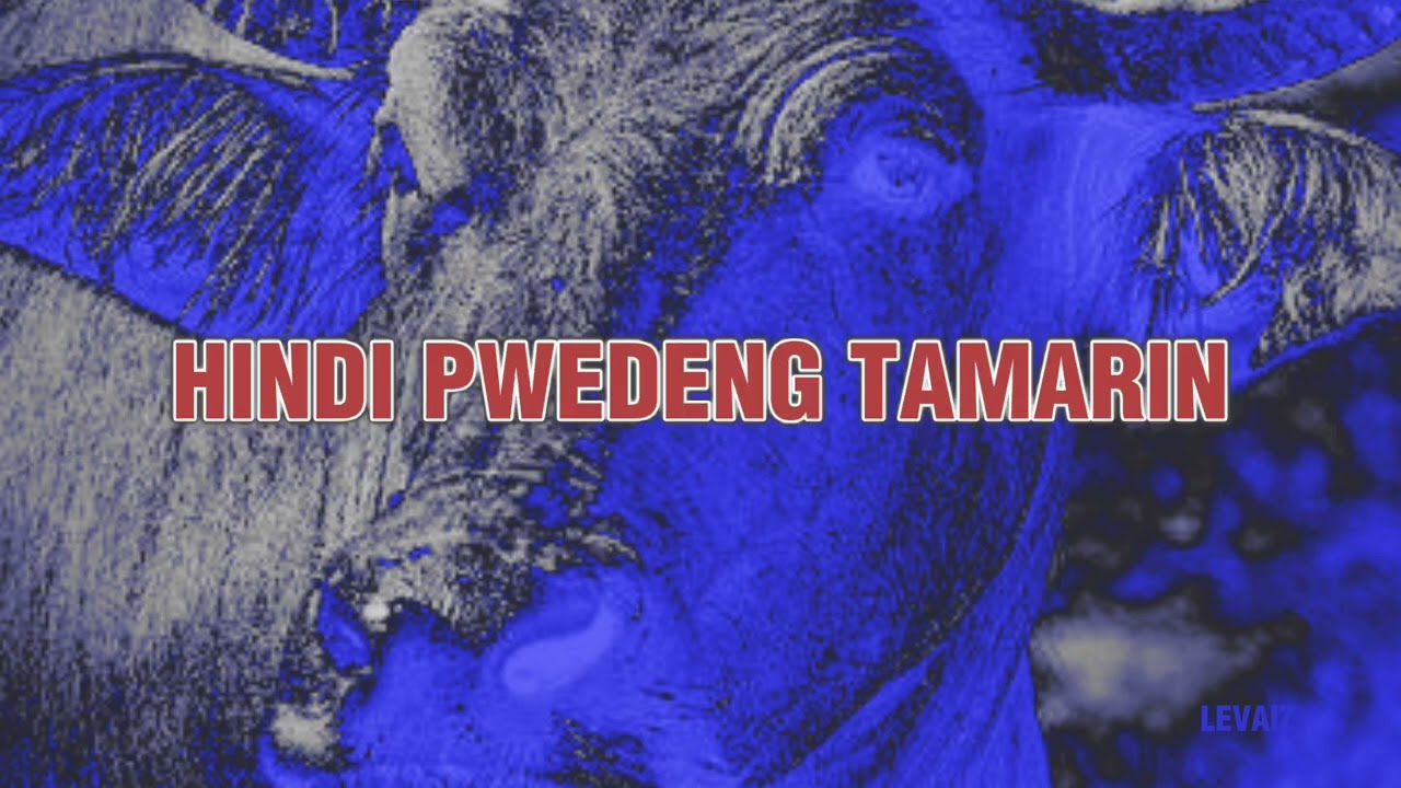 Levaiz - Hindi Pwedeng Tamarin (Official Lyric Video)