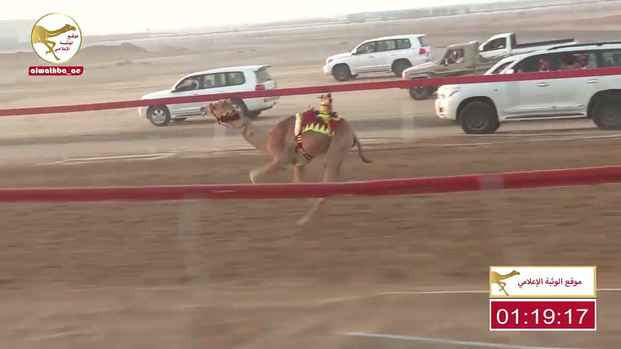 الشوط 4 (درب) لـ جديد بخيت بن جداد الكثيري 2:11 ، شارة الصندوق 2023/04/09 فطامين سويحان