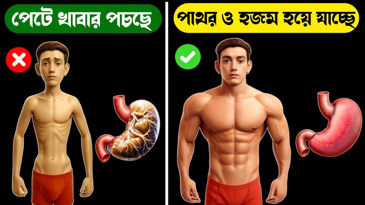 IMPROVE DIGESTION IN 7 DAYS | এবার যেটাই খাবেন সব বডিতে লাগবে , মজবুত হবে পাচনশক্তি